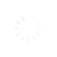 جاري الإرسال...